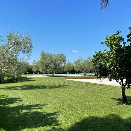 Nascente